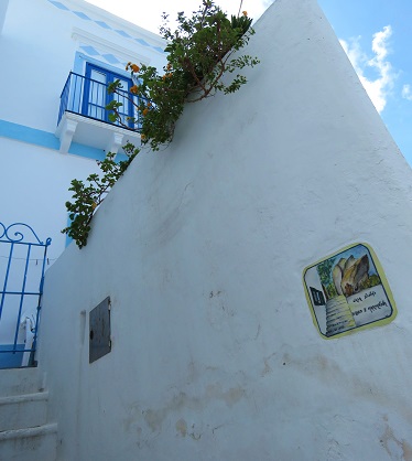 PANAREA_ (2)