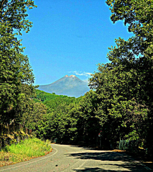 ETNA WOODS HIKING 2